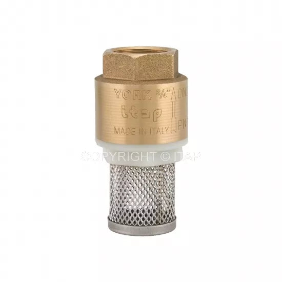 Vertikalus atbulinis vožtuvas ITAP, su nerūdijančio plieno tinkliuku, 1''