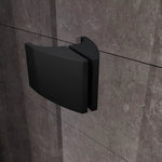 Varstomos dušo durys Ravak Pivot, PDOP2-120, juoda+Transparent