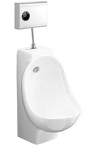 Pisuaras IFO, be elektroninės dalies